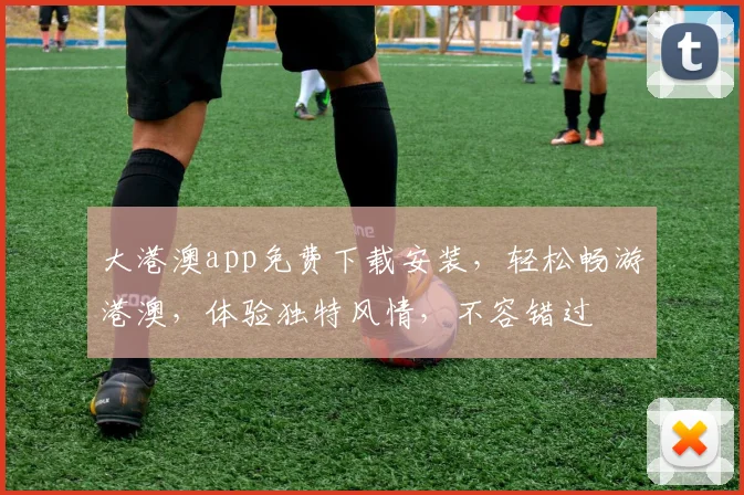 大港澳app免费下载安装，轻松畅游港澳，体验独特风情，不容错过