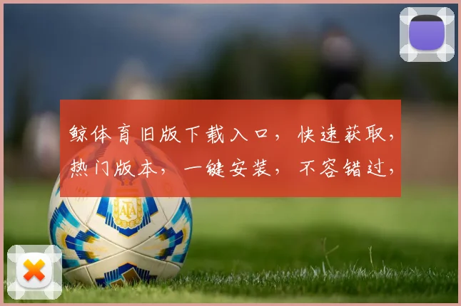 鲸体育旧版下载入口，快速获取，热门版本，一键安装，不容错过，体验尽享