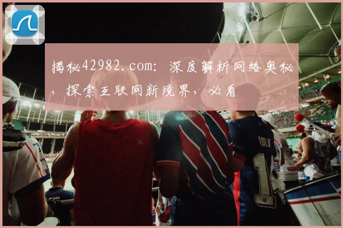 揭秘42982.com：深度解析网络奥秘，探索互联网新境界，必看