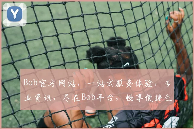 Bob官方网站，一站式服务体验，专业资讯，尽在Bob平台，畅享便捷生活