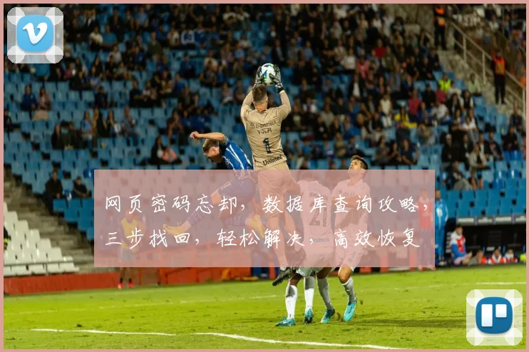 网页密码忘却，数据库查询攻略，三步找回，轻松解决，高效恢复